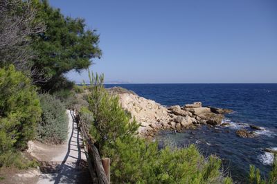 environmental surveillance - photograph of coastal environment
