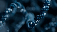 Targeted sequencing and iterative assembly of near-complete genomes