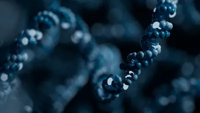 Targeted sequencing and iterative assembly of near-complete genomes