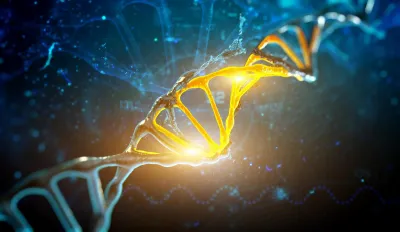 DNA helix