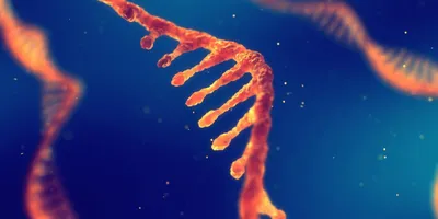Innovations in mRNA vaccine precision manufacturing