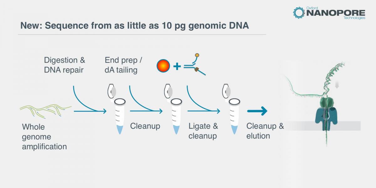 WGA nanopore.jpg