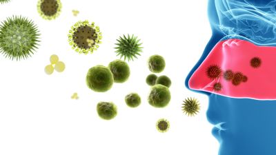 Influenza virus