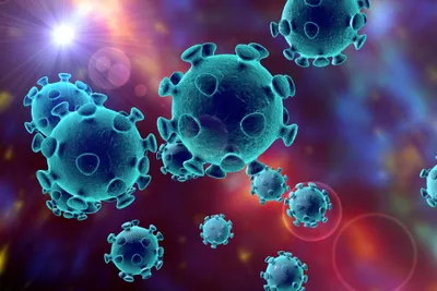 3d illustration of coronaviruses