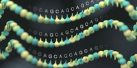 Analysis of clinically relevant large tandem repeats using nanopore sequencing