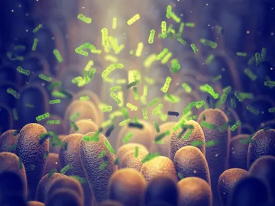 Gut microbiome dysbiosis and immune activation correlate with somatic and neuropsychiatric symptoms in COVID-19 patients