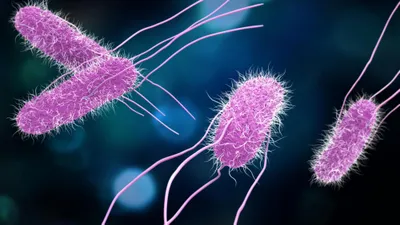 Advancements in nanopore sequencing for enhanced food safety and quality assurance