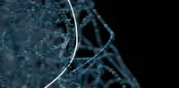 “NanoDel”: Identification of large-scale mitochondrial DNA deletions using long-read sequencing
