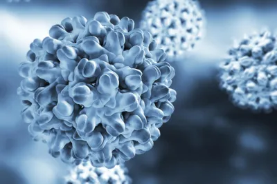 Three blue-grey hepatitis B virus (one large in the foreground, two smaller in the background)