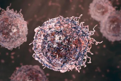 Cell-free DNA sequencing and methylation detection — promising potential for non-invasive cancer monitoring