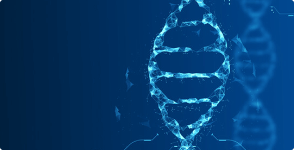 Human variation sequencing from 30kb extracted cell line samples using SQK-LSK114