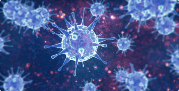 Telomere-to-telomere sequencing (T2T) on PromethION (SQK-APK114, SQK-LSK114, and SQK-ULK114)