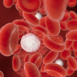 Rendered impression of red blood cells
