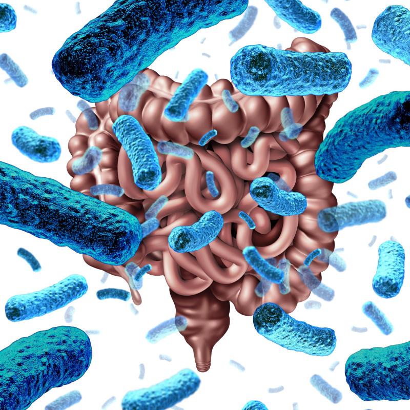 3d illustration of bacteria in front of intestine symbolising gut microbiota
